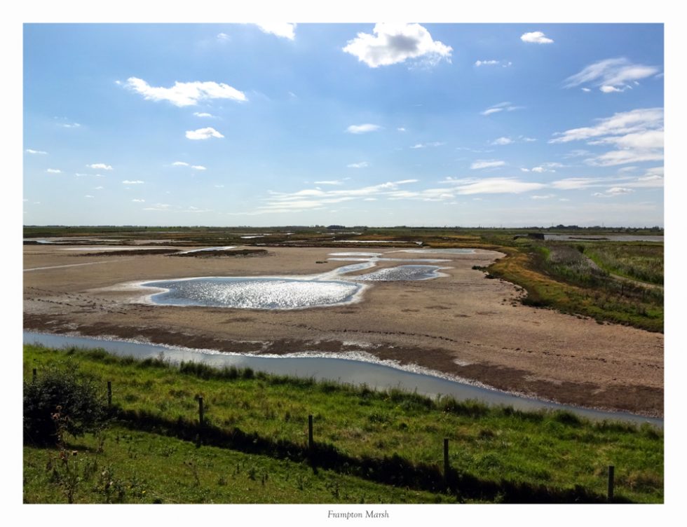 Rspb Frampton Marsh Paul Crotty Photography